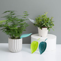 3pcs Plant Water Funnel House Plant Waterer