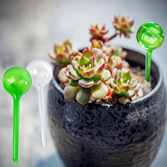 Automatic Plant Water Feeder Self Watering Ball Indoor/Outdoor Flowers