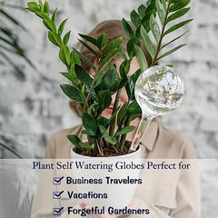 Round Ball Lazy Waterer Plant Potted Automatic Watering Device
