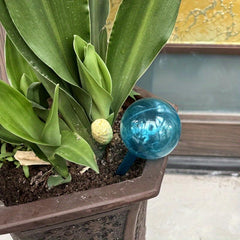 Round Ball Lazy Waterer Plant Potted Automatic Watering Device