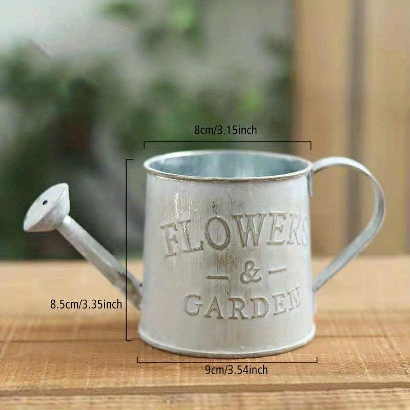 Retro Iron Small Kettle Decoration Home Watering Device Sprinkler Bottle