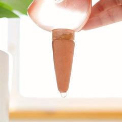 Bird Automatic Watering Device Self Dripper Flower Pot Watering Pot