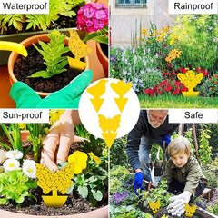 60pcs Yellow Fly Trap Stickers Prevent Aphids