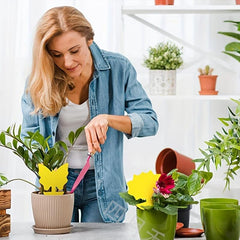 60pcs Yellow Fly Trap Stickers Prevent Aphids