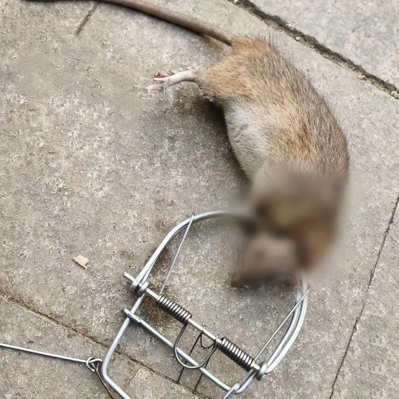 1pc Mouse Trap Weasel Catch Spring Trapt Rodent Cage Mole Repeller Rat Trap