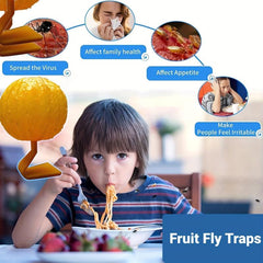 Pumpkin Fly Traps 2pcs Indoor Fruit Fly Traps for Kitchens