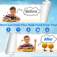 Pumpkin Fly Traps 2pcs Indoor Fruit Fly Traps for Kitchens
