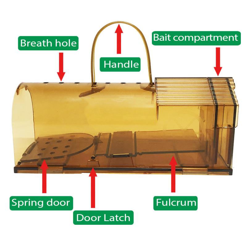 Catch & Release Humane Mouse Traps - Reusable Live Mice Trap