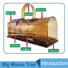 Catch & Release Humane Mouse Traps - Reusable Live Mice Trap