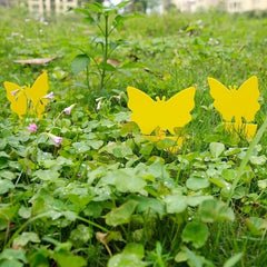 5pcs Yellow Sticky Bug Traps for Fly Pest Insect Control