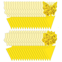 Yellow Sticky Traps Fruit Fly Trap Indoor/Outdoor Mosquito Bug