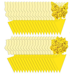 Yellow Sticky Traps Fruit Fly Trap Indoor/Outdoor Mosquito Bug