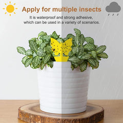 12pcs 20pcs Strong Flycatcher Sticker Yellow Sticky Traps