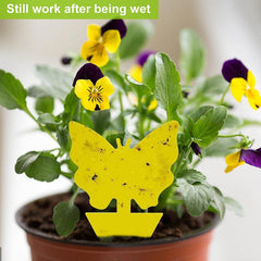 10pcs Butterfly Sun Fruit Fly Traps Yellow Sticky Bug Traps Non Toxic Odorless