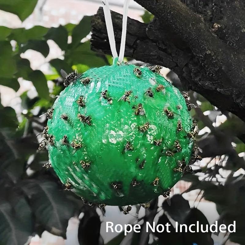 Sticky Trap for Fruit Flies Mosquitoes Flying Insects Indoor Outdoor Non-Toxic