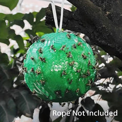 Sticky Trap for Fruit Flies Mosquitoes Flying Insects Indoor Outdoor Non-Toxic