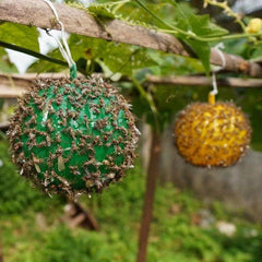 1pc Pumpkin Sticky Fly Trap Ball Outdoor Pest Control