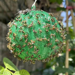 1pc Pumpkin Sticky Fly Trap Ball Outdoor Pest Control