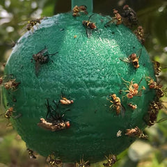 Fruit Fly Ball Bait Fly Trap Sticky Insect Ball 3 14inch Garden Supplies