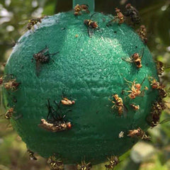 Fruit Fly Ball Bait Fly Trap Sticky Insect Ball 3 14inch Garden Supplies