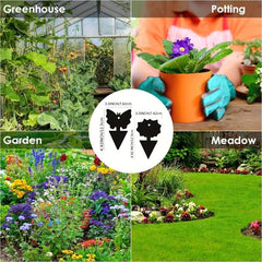 Fruit Fly Traps Gnat Sticky Traps - Indoor Outdoor - Pest Control