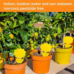 12pcs/20pcs Insect Sticky Trap Board Fruit Garden Wide Range Double-sided Yellow