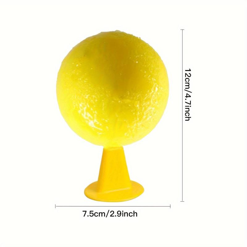 2pcs Fruit Fly Traps for Small Flying Insects