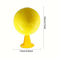 2pcs Fruit Fly Traps for Small Flying Insects
