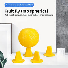 2pcs Fruit Fly Traps for Small Flying Insects