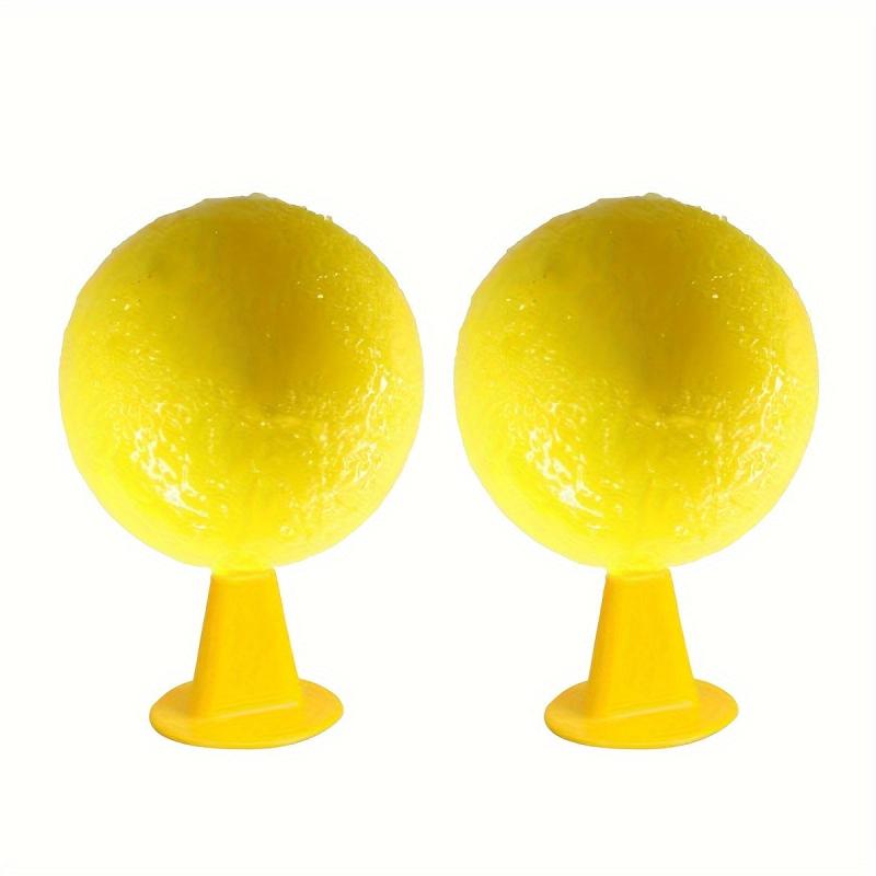 2pcs Fruit Fly Traps for Small Flying Insects