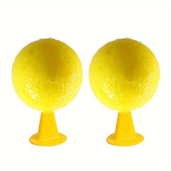 2pcs Fruit Fly Traps for Small Flying Insects
