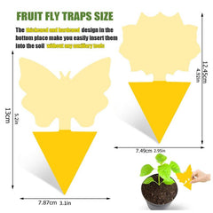 20pcs Sticky Fruit Fly Traps Gnat Killer Indoor Plant Fungus Gnat Trap