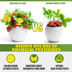 20pcs Sticky Fruit Fly Traps Gnat Killer Indoor Plant Fungus Gnat Trap