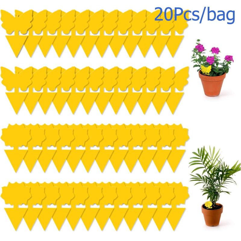 20pcs Sticky Fruit Fly Traps Gnat Killer Indoor Plant Fungus Gnat Trap