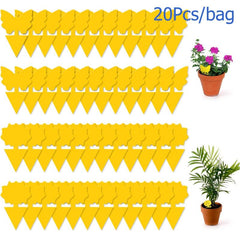 20pcs Sticky Fruit Fly Traps Gnat Killer Indoor Plant Fungus Gnat Trap