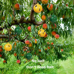 8pcs Sticky Bug Traps Indoor/Outdoor Fruit Fly Mosquito Insect Sticky Balls