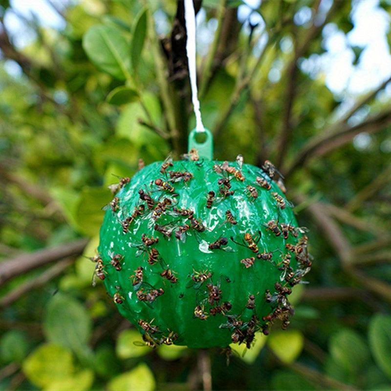 6pcs Fly Trap for Pest Control in Home Garden Farm