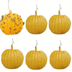 6pcs Fly Trap for Pest Control in Home Garden Farm