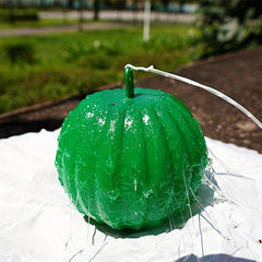 6pcs Fly Trap for Pest Control in Home Garden Farm