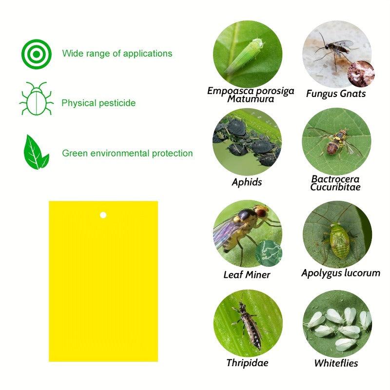 50pcs Sticky Insect Board for Indoor and Outdoor Greenhouses