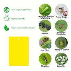 50pcs Sticky Insect Board for Indoor and Outdoor Greenhouses