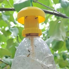Fruit Fly Trap Plastic Hose Pest Insects High Practical Trap Head