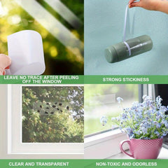 10pcs Fruit Fly Traps Fungus Gnat Traps Yellow Sticky Bug Traps