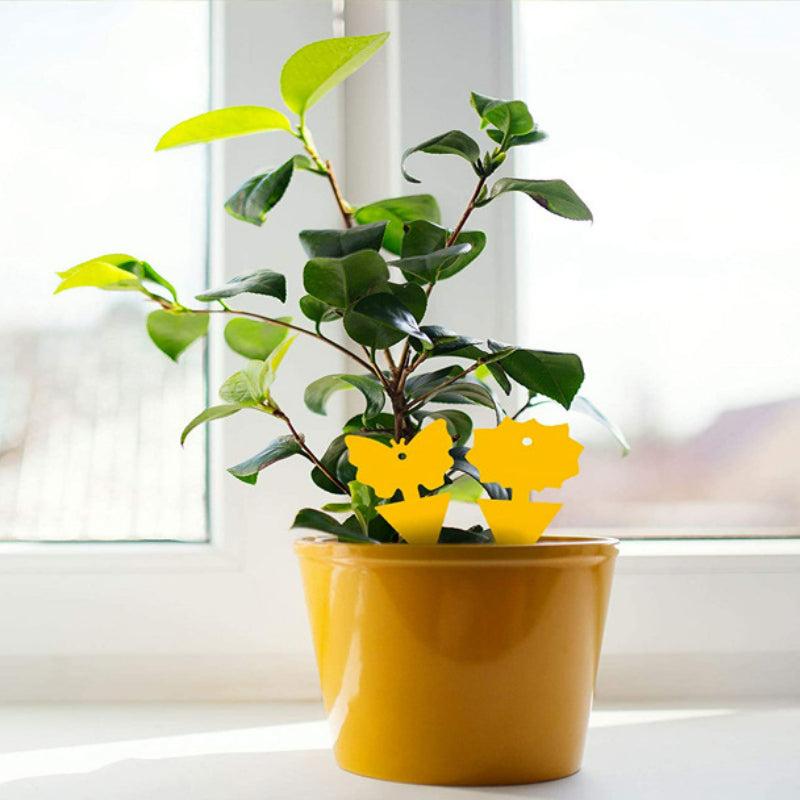 Double Sided Irregular Sticky Insect Trap Yellow Board