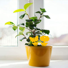 Double Sided Irregular Sticky Insect Trap Yellow Board