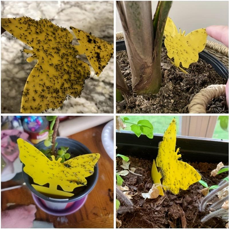 15pcs Fruit Fly Trap Sticky Plant Yellow Trap