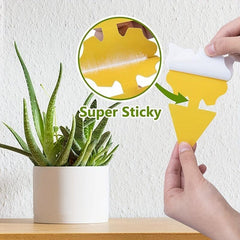 15pcs Fruit Fly Trap Sticky Plant Yellow Trap