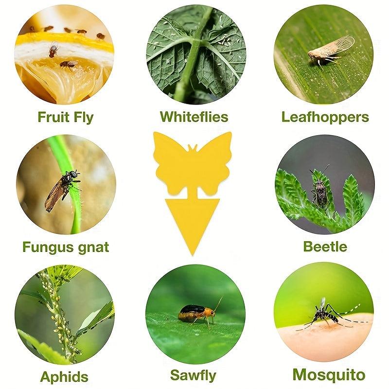 15pcs Fruit Fly Trap Sticky Plant Yellow Trap