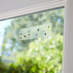 10pcs Strong Fly Glue Trap Bug Sticker Window Flies Insect Catcher