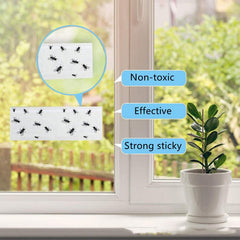 10pcs Strong Fly Glue Trap Bug Sticker Window Flies Insect Catcher